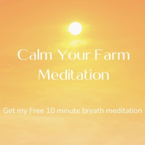 calm your farm meditation