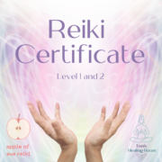 Reiki Certificate Training